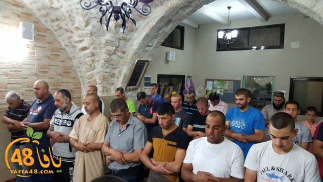 7ozaifa yaman (17).jpg